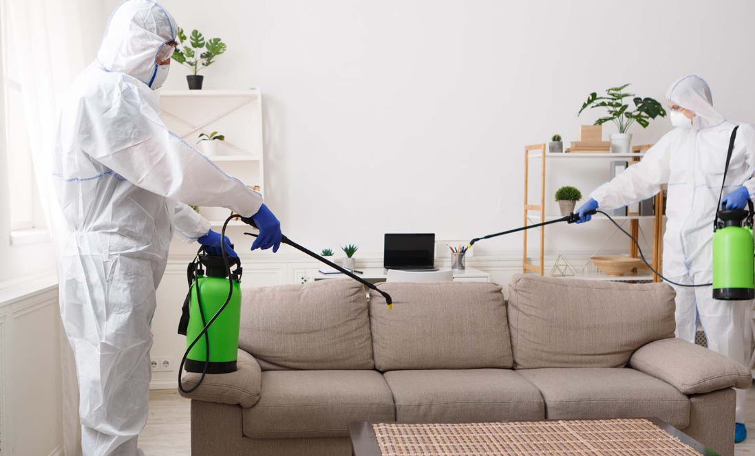 Dịch Vụ Diệt Côn Trùng Đà Lạt – Kiểm Soát Toàn Diện Cho Nhà Ở, Homestay, Khách Sạn, Nhà Hàng