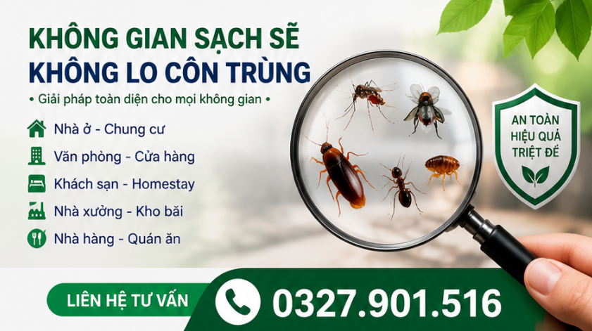Dịch Vụ Diệt Côn Trùng Đà Lạt – Kiểm Soát Toàn Diện Cho Nhà Ở, Homestay, Khách Sạn, Nhà Hàng