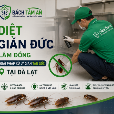 Diệt Gián Đức Lâm Đồng – Giải Pháp Xử Lý Gián Tận Gốc Tại Đà Lạt
