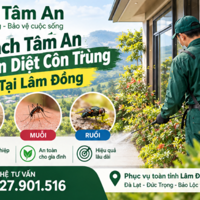 Bách Tâm An Nhận Diệt Côn Trùng Tại Lâm Đồng – Khảo Sát Và Xử Lý Theo Thực Tế