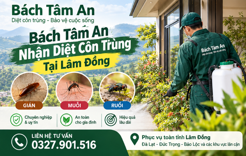 Bách Tâm An Nhận Diệt Côn Trùng Tại Lâm Đồng – Khảo Sát Và Xử Lý Theo Thực Tế
