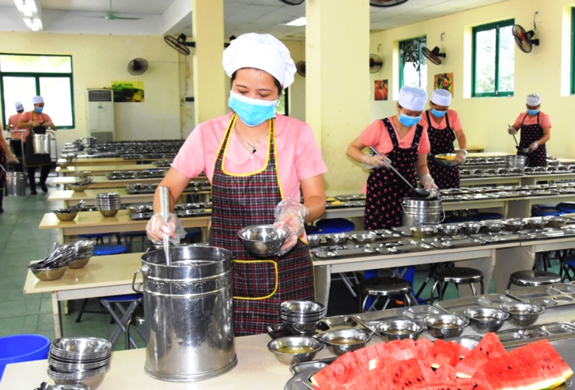 Bẫy Chuột Đà Lạt Có Thực Sự Hiệu Quả? Những Điều Bạn Cần Biết Trước Khi Đặt Bẫy