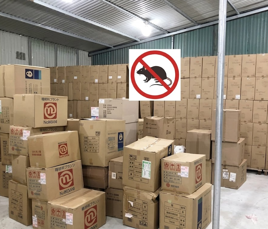 Dịch Vụ Diệt Chuột Đà Lạt – Kiểm Soát Chuột Cho Nhà Ở, Nhà Hàng Và Kho Hàng