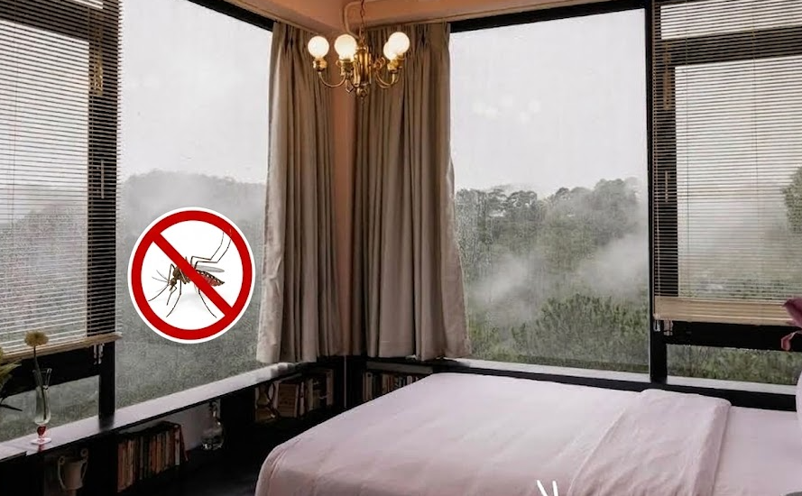 Dịch Vụ Diệt Côn Trùng Lâm Đồng – Phun Muỗi, Diệt Gián, Bẫy Chuột Đà Lạt