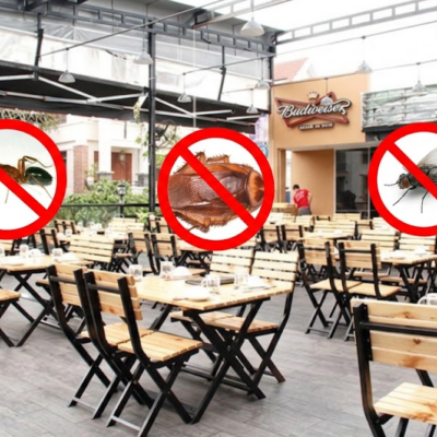 Dịch Vụ Diệt Côn Trùng Lâm Viên Đà Lạt