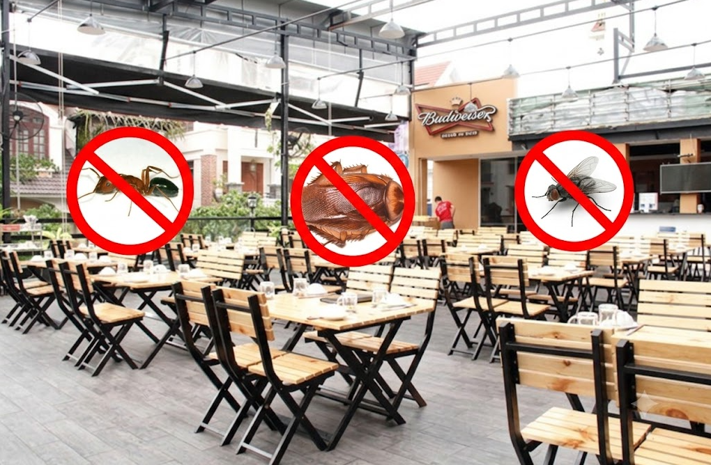 Dịch Vụ Diệt Côn Trùng Lâm Viên Đà Lạt