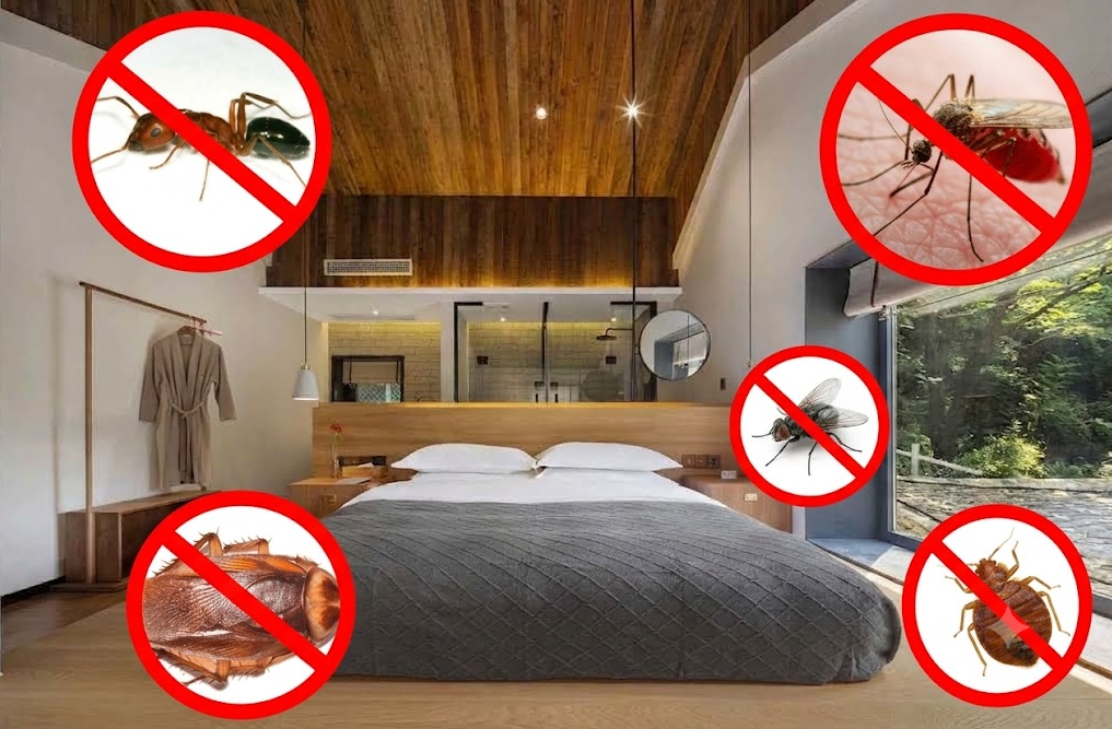 Dịch Vụ Diệt Côn Trùng Lâm Viên Đà Lạt