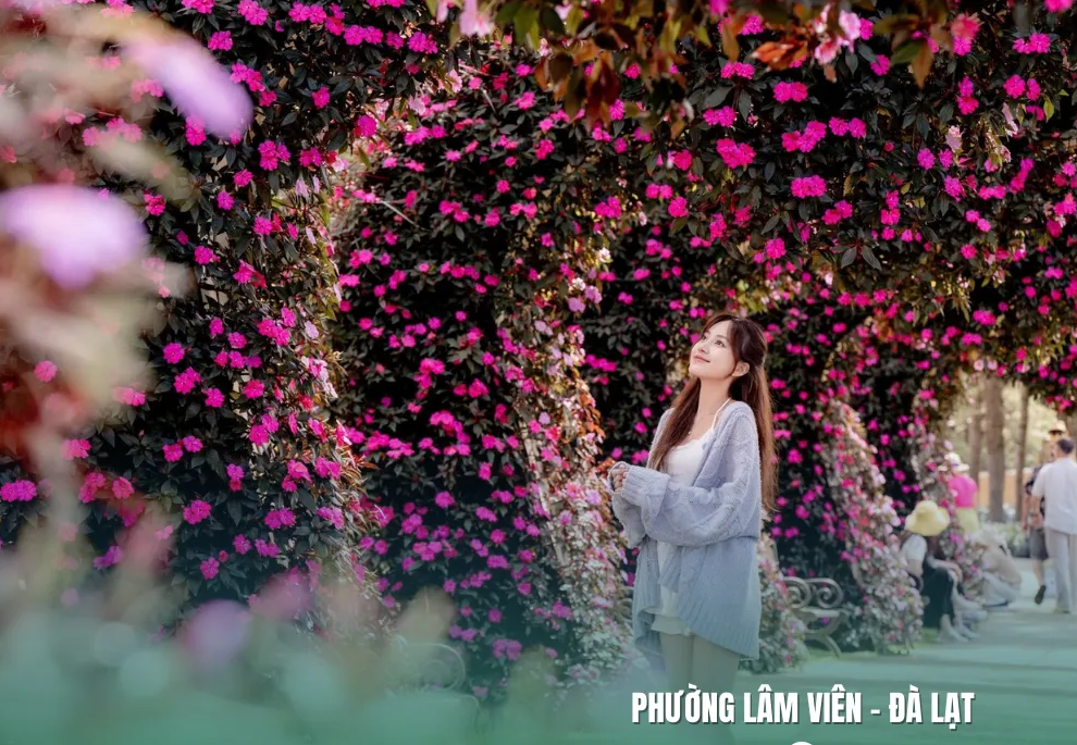Dịch Vụ Diệt Côn Trùng Lâm Viên Đà Lạt