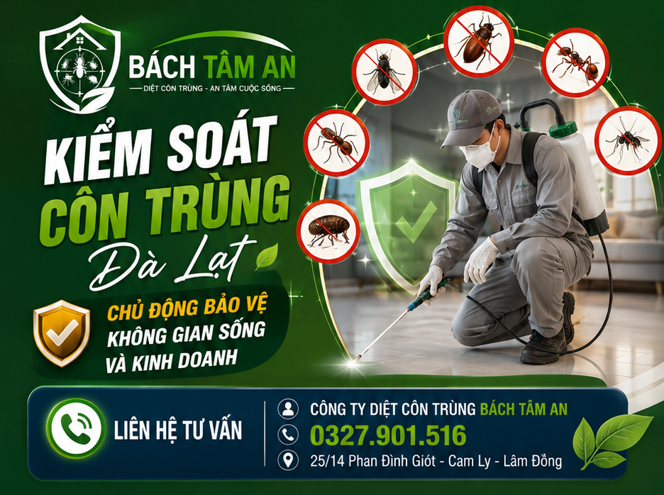 Dịch Vụ Kiểm Soát Côn Trùng Theo Yêu Cầu Tại Lâm Đồng