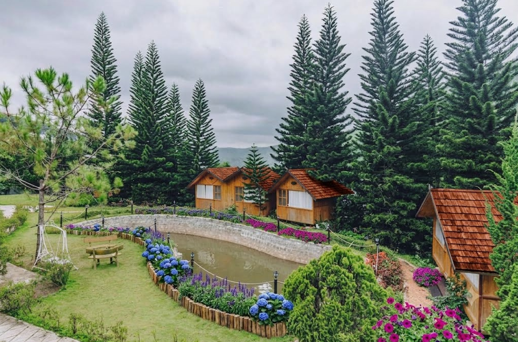 Diệt Côn Trùng Cho Dịch Vụ Kinh Doanh Lưu Trú Đà Lạt