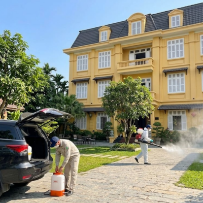 Diệt Côn Trùng Cho Dịch Vụ Kinh Doanh Lưu Trú Đà Lạt