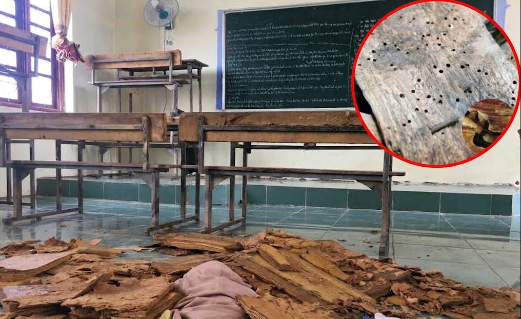 Diệt Côn Trùng Cho Trường Học Tại Lâm Đồng