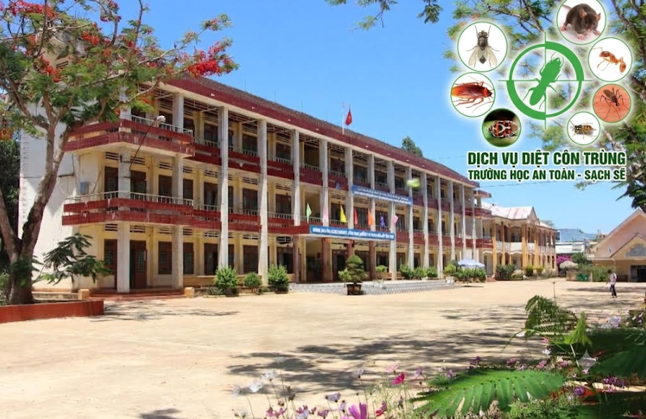 Diệt Côn Trùng Cho Trường Học Tại Lâm Đồng