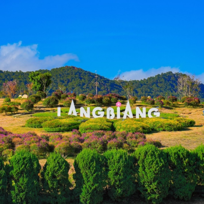 Diệt Côn Trùng Phường Lang Biang Đà Lạt