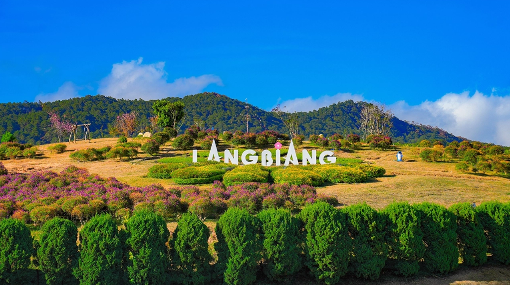Diệt Côn Trùng Phường Lang Biang Đà Lạt