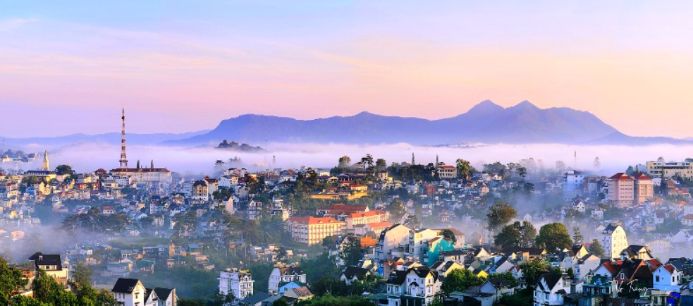 Diệt Gián Đức Trọng – Xử Lý Ổ Gián Tại Nhà Ở, Nhà Hàng Và Cơ Sở Kinh Doanh