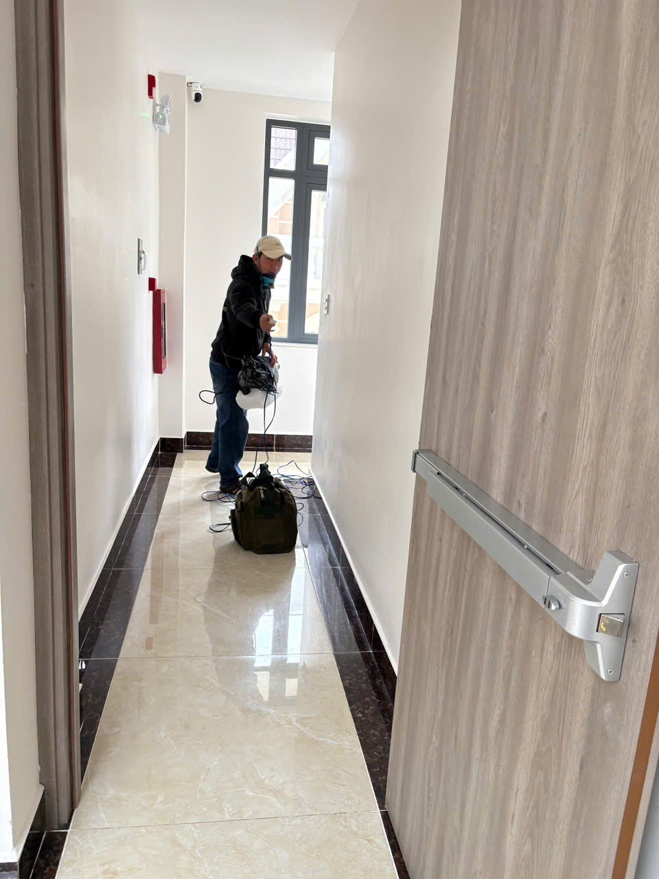 Homestay Nhiều Cây Xanh: Làm Sao Kiểm Soát Muỗi, Kiến Và Côn Trùng?