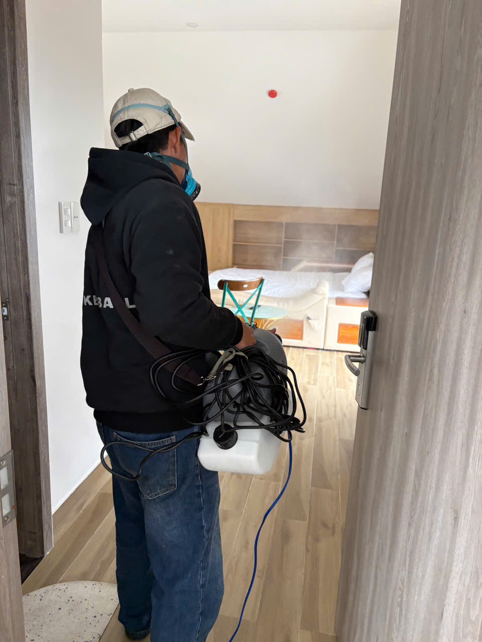 Homestay Nhiều Cây Xanh: Làm Sao Kiểm Soát Muỗi, Kiến Và Côn Trùng?