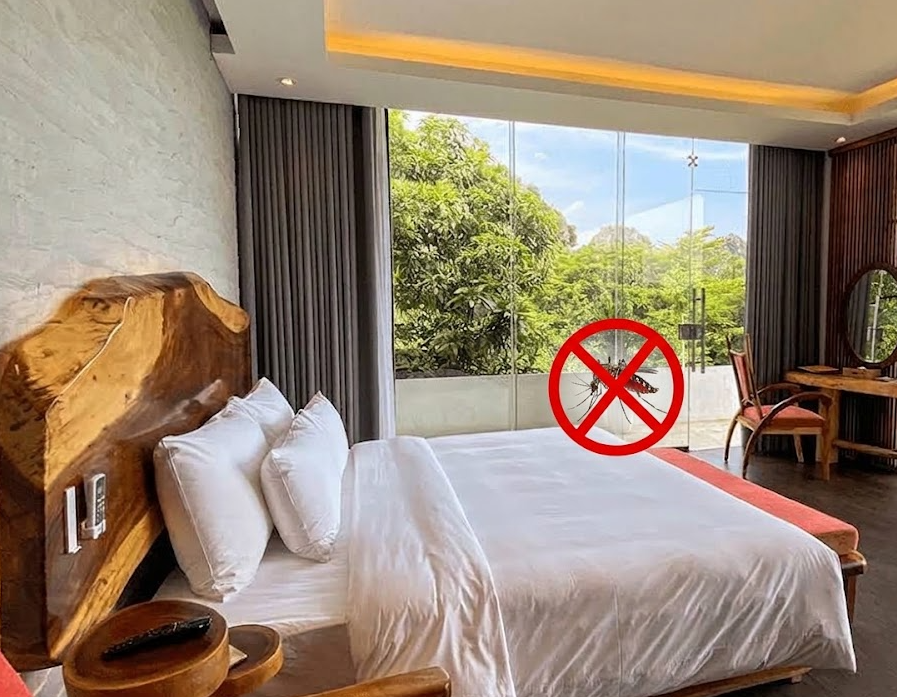 Homestay Nhiều Cây Xanh: Làm Sao Kiểm Soát Muỗi, Kiến Và Côn Trùng?