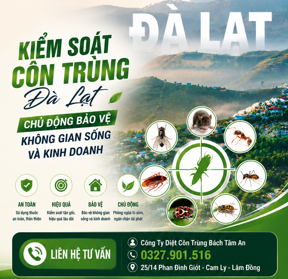 Kiểm Soát Côn Trùng Đà Lạt – Chủ Động Bảo Vệ Không Gian Sống Và Kinh Doanh