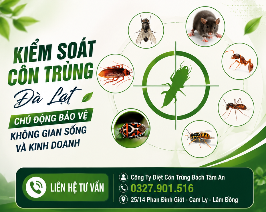 Kiểm Soát Côn Trùng Đà Lạt – Chủ Động Bảo Vệ Không Gian Sống Và Kinh Doanh