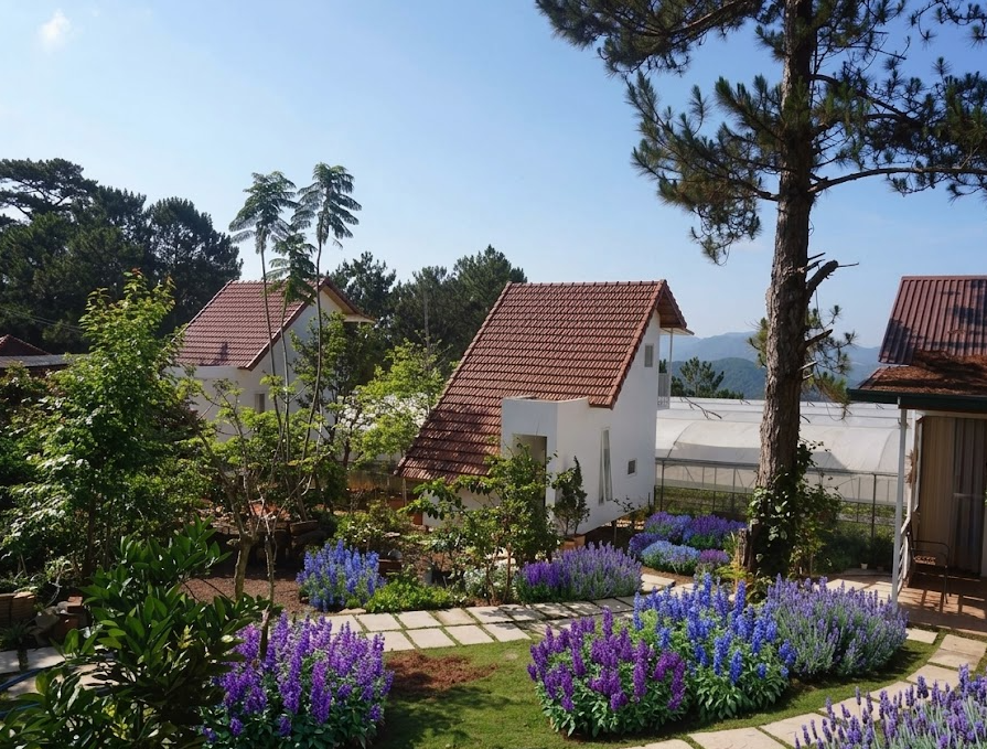 Kiểm Soát Muỗi Định Kỳ Cho Homestay Đà Lạt – Vì Sao Nên Chủ Động?