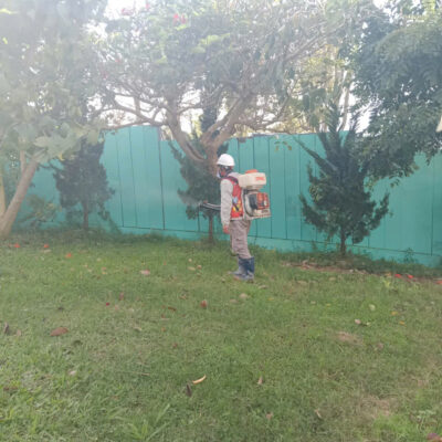 Kiểm Soát Muỗi Định Kỳ Cho Homestay Đà Lạt – Vì Sao Nên Chủ Động?