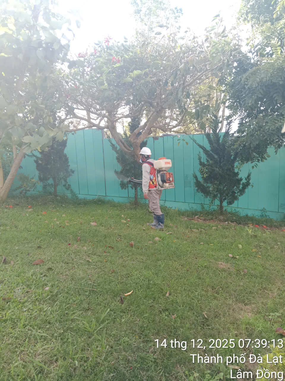 Phun Muỗi Cho Farmstay Đà Lạt – Hạn Chế Muỗi Làm Ảnh Hưởng Trải Nghiệm Của Khách