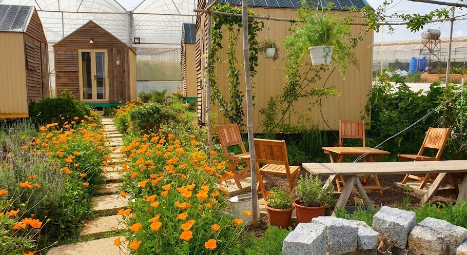Phun Muỗi Cho Farmstay Đà Lạt – Hạn Chế Muỗi Làm Ảnh Hưởng Trải Nghiệm Của Khách