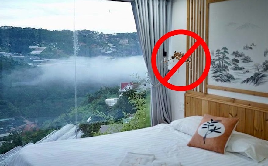 Phun Muỗi Cho Farmstay Đà Lạt – Hạn Chế Muỗi Làm Ảnh Hưởng Trải Nghiệm Của Khách