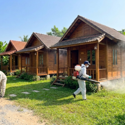 Phun Muỗi Cho Farmstay Đà Lạt – Hạn Chế Muỗi Làm Ảnh Hưởng Trải Nghiệm Của Khách