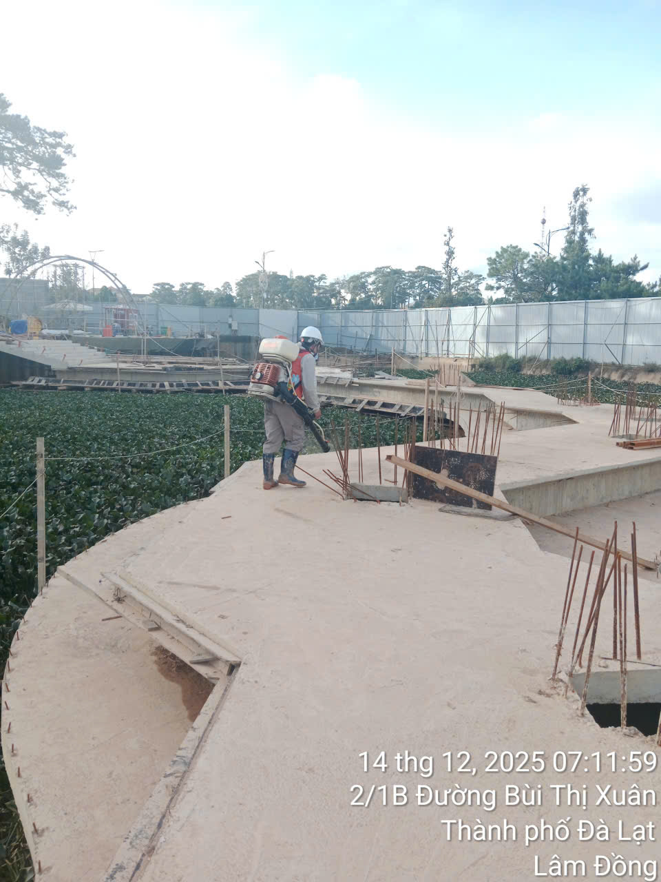 Phun Phòng Mối Đà Lạt – Chủ Động Bảo Vệ Công Trình Trước Khi Mối Gây Hư Hại