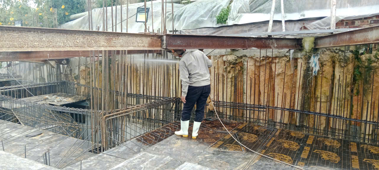 Phun Phòng Mối Đà Lạt – Chủ Động Bảo Vệ Công Trình Trước Khi Mối Gây Hư Hại