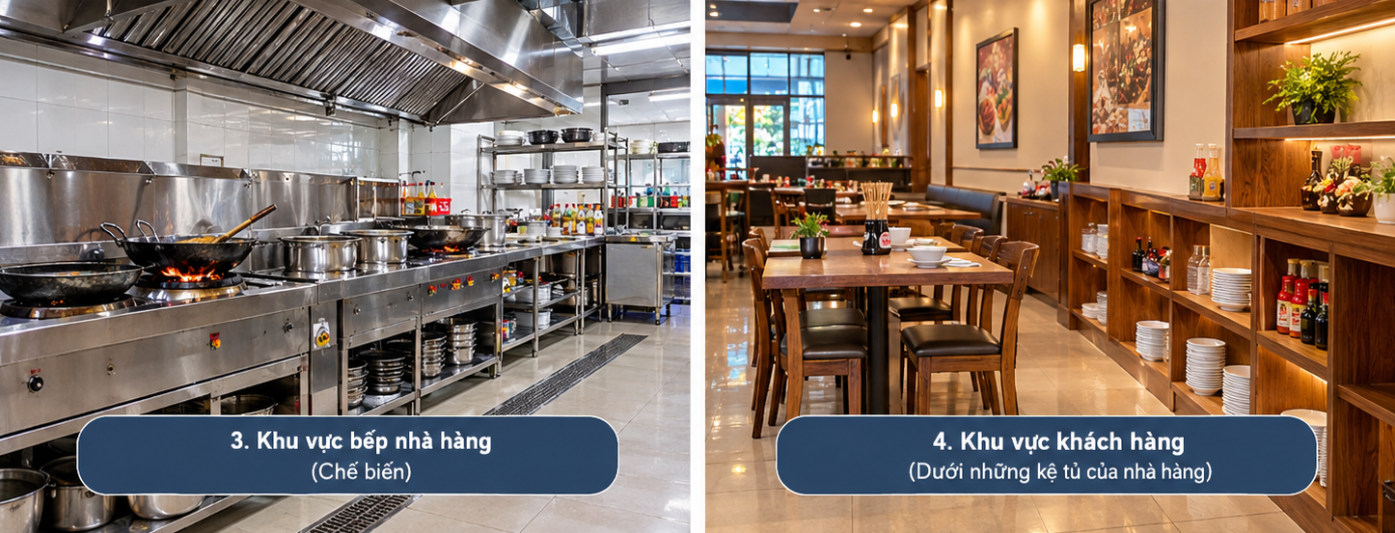 Thuốc Gián Hay Dịch Vụ Diệt Gián? Đâu Là Cách Xử Lý Hiệu Quả Hơn?